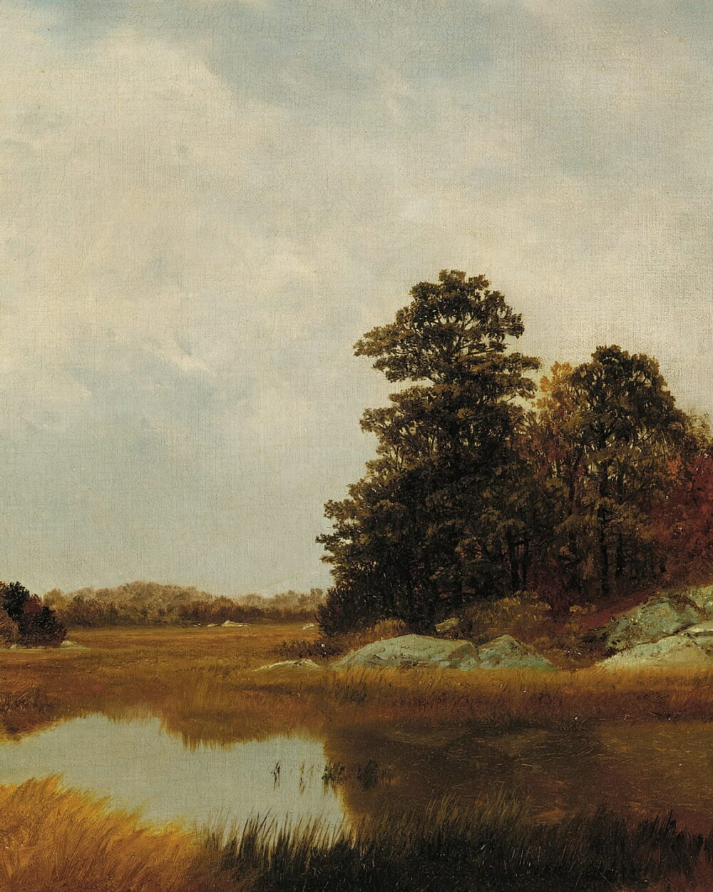 A still marsh pool reflects a cloudy sky beside a clump of autumn trees.