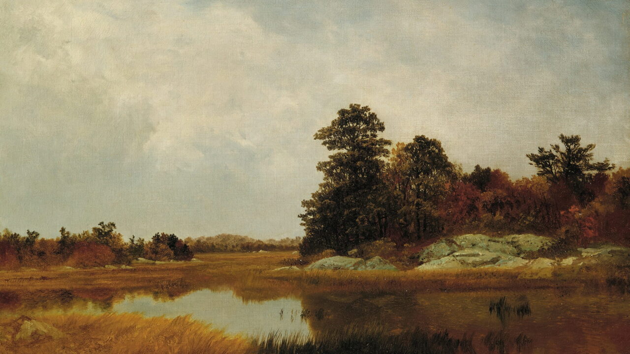 A still marsh pool reflects a cloudy sky beside a clump of autumn trees.
