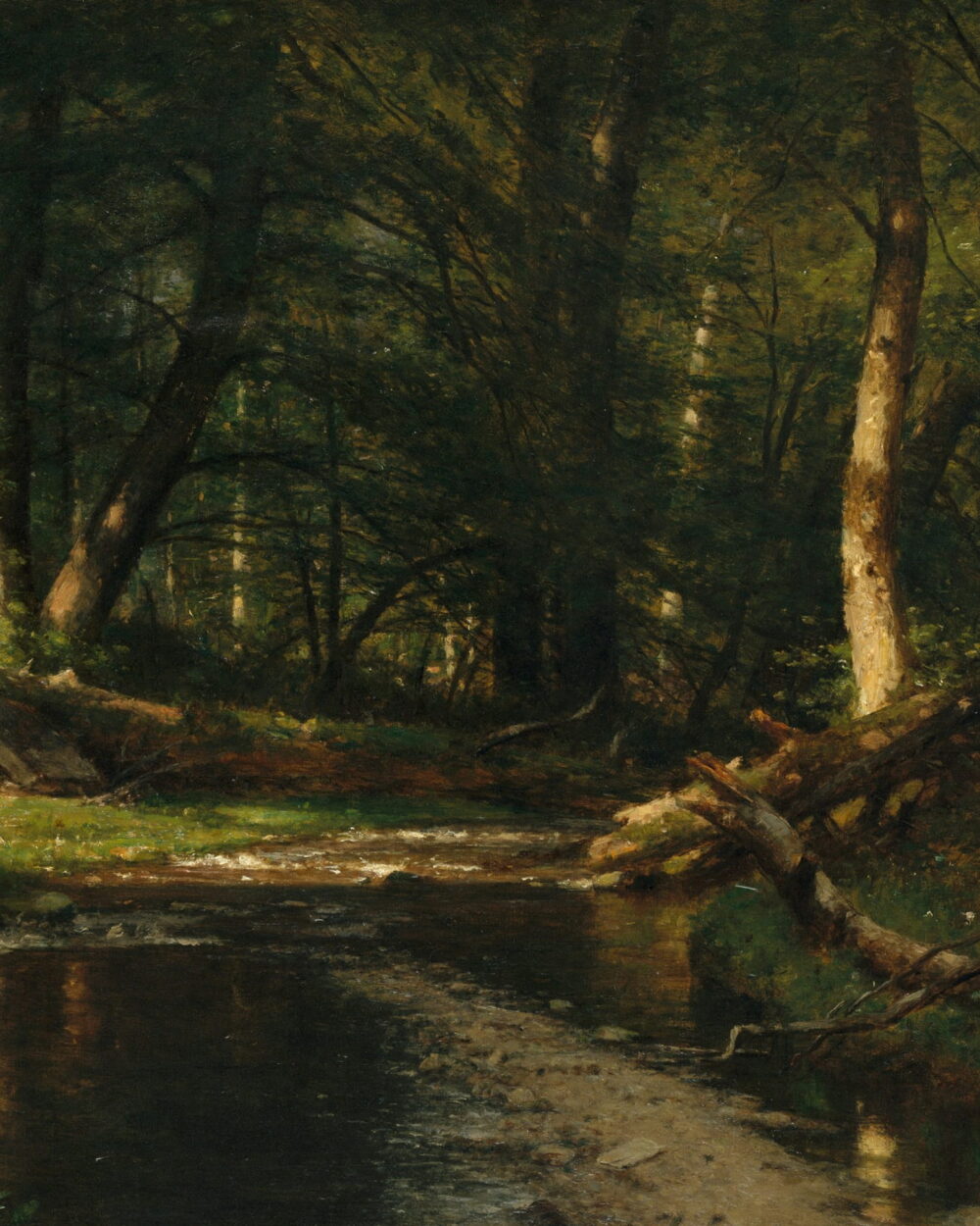 A small stream runs through a shaded wood over fallen logs.
