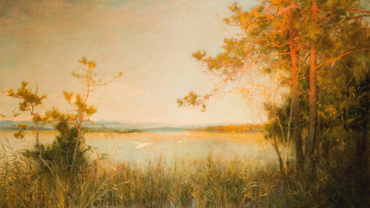 Tall golden reeds and thin trees at the edge of a bright marsh.