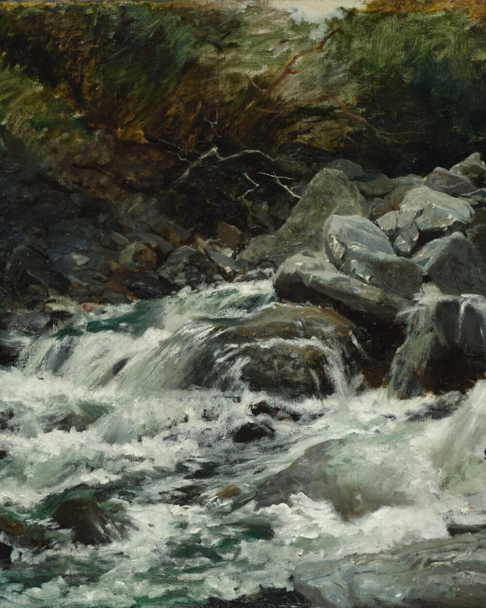White water runs over gray boulders in a dark green gorge.