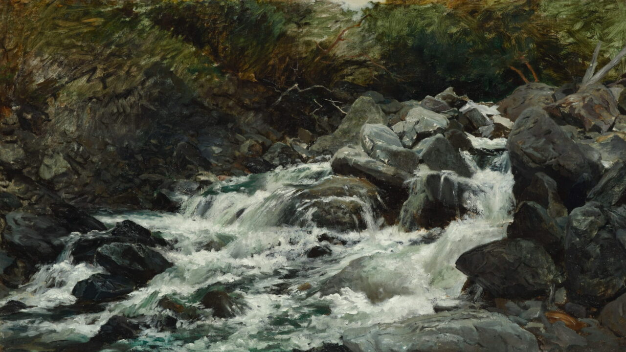 White water runs over gray boulders in a dark green gorge.