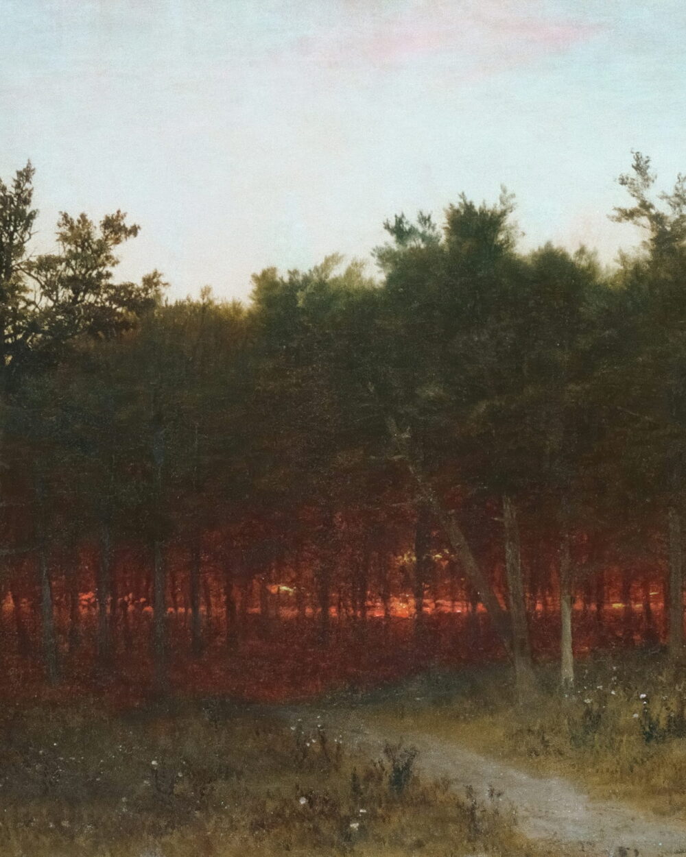A path leads into a pine wood with red light glowing between the trunks.