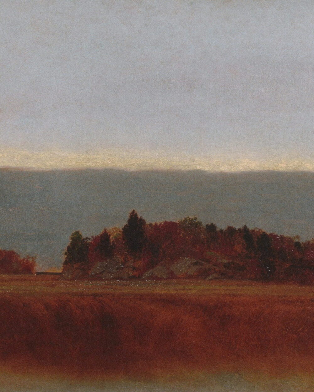 A dark line of trees above a field of red marsh grass at dusk.