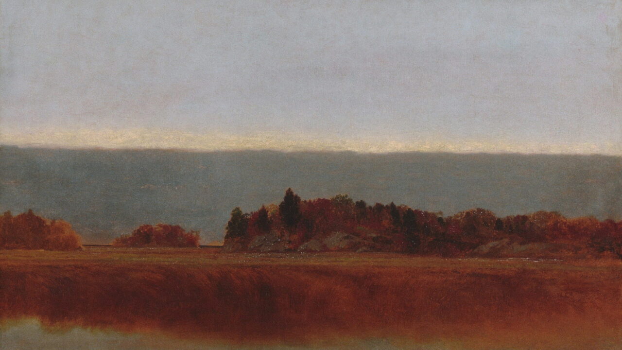 A dark line of trees above a field of red marsh grass at dusk.