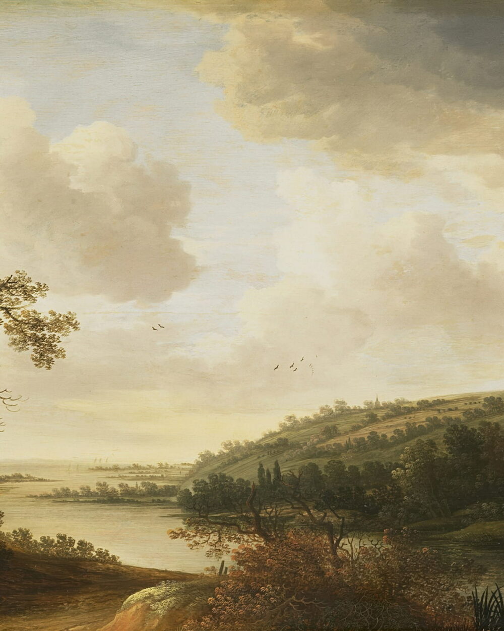 A wide river runs through a green valley under tall summer clouds.