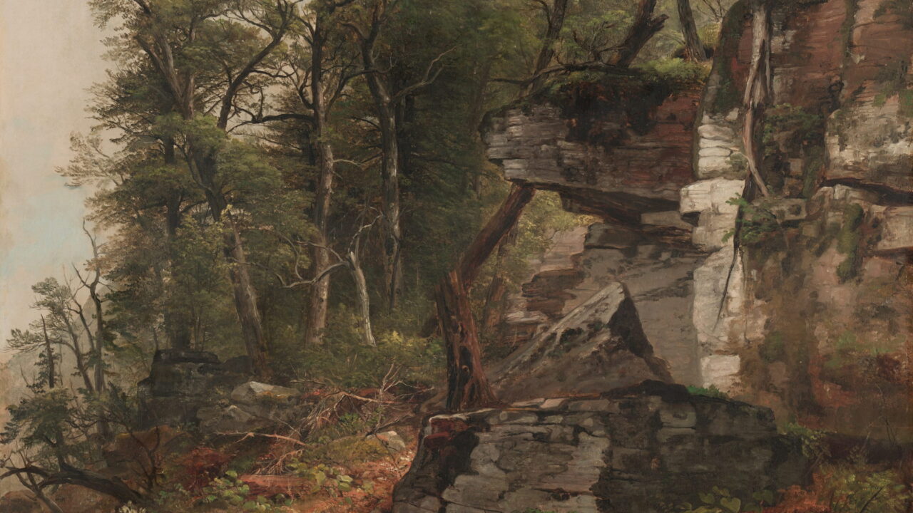 A gray rock ledge rises among birch and pine in a deep wood.