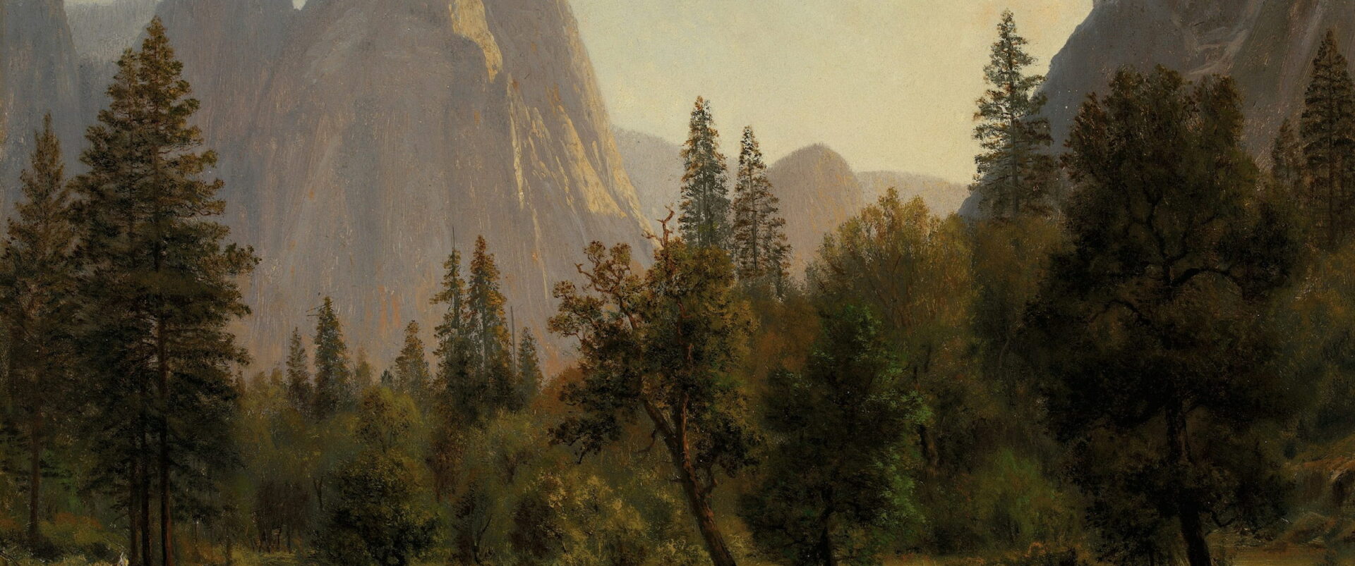 Tall pines stand by a still lake below gray granite cliffs.