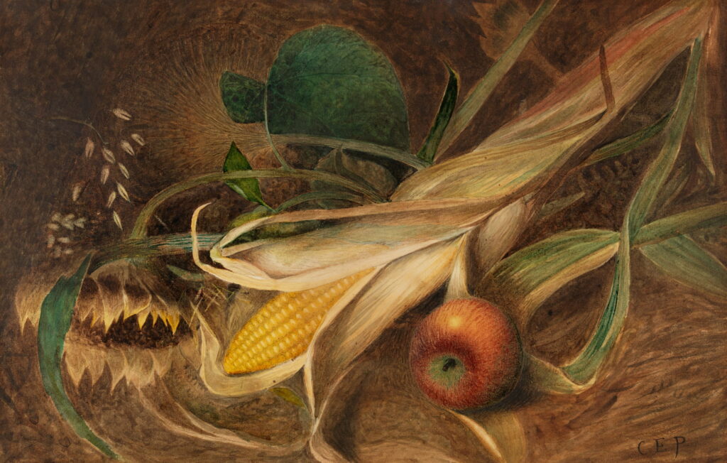 An ear of corn, a red apple, and a dry sunflower head on straw.