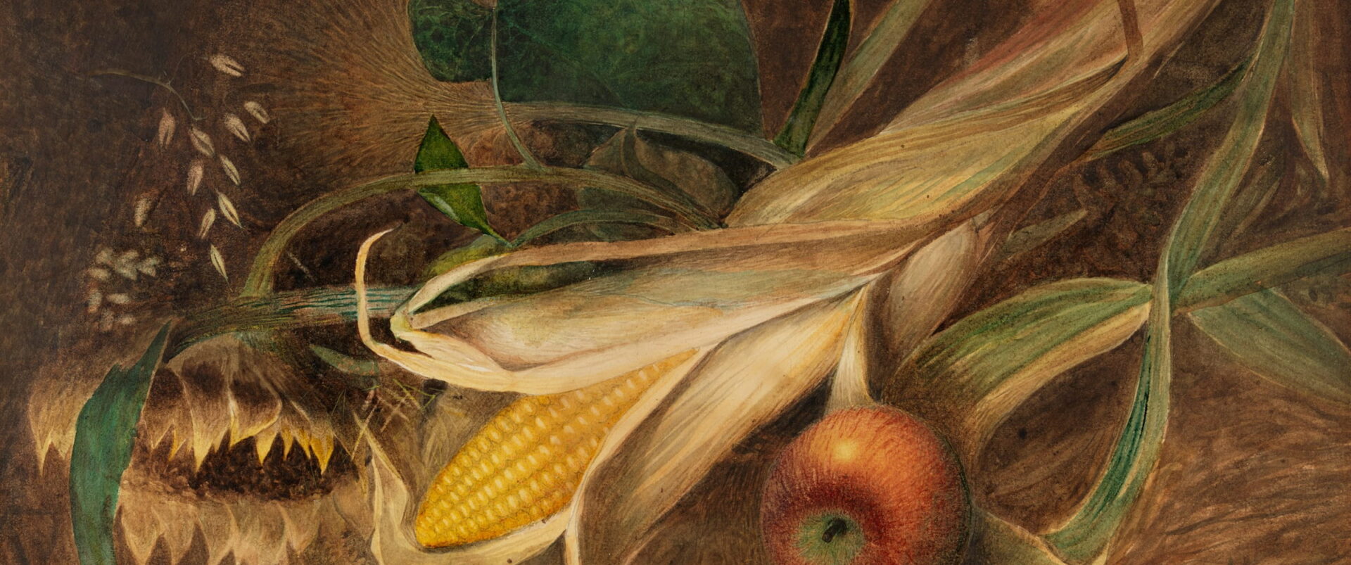 An ear of corn, a red apple, and a dry sunflower head on straw.