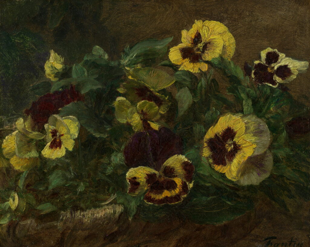 Yellow and purple pansies crowded among green leaves.