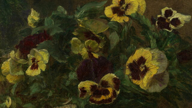 Yellow and purple pansies crowded among green leaves.
