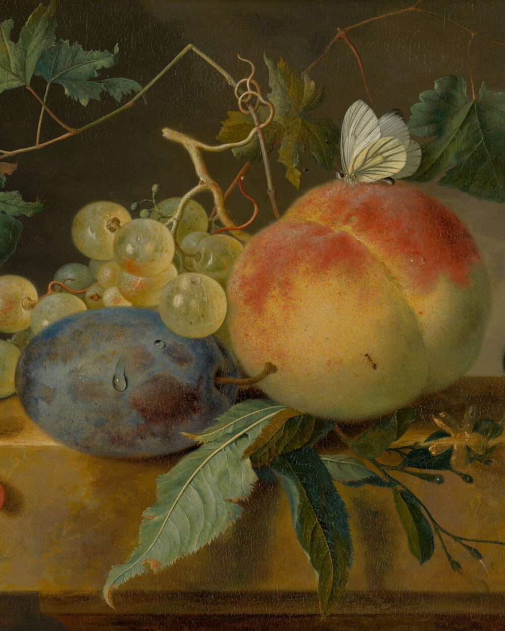 A large peach, plums, grapes, and red currants on a stone ledge.