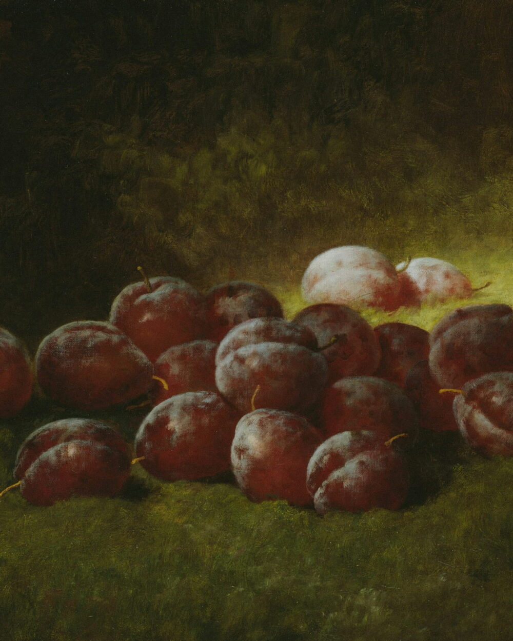 A heap of dark purple plums on green moss.