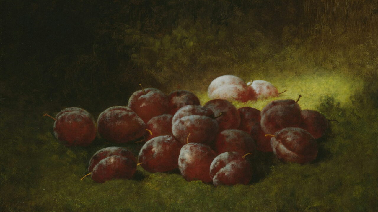 A heap of dark purple plums on green moss.