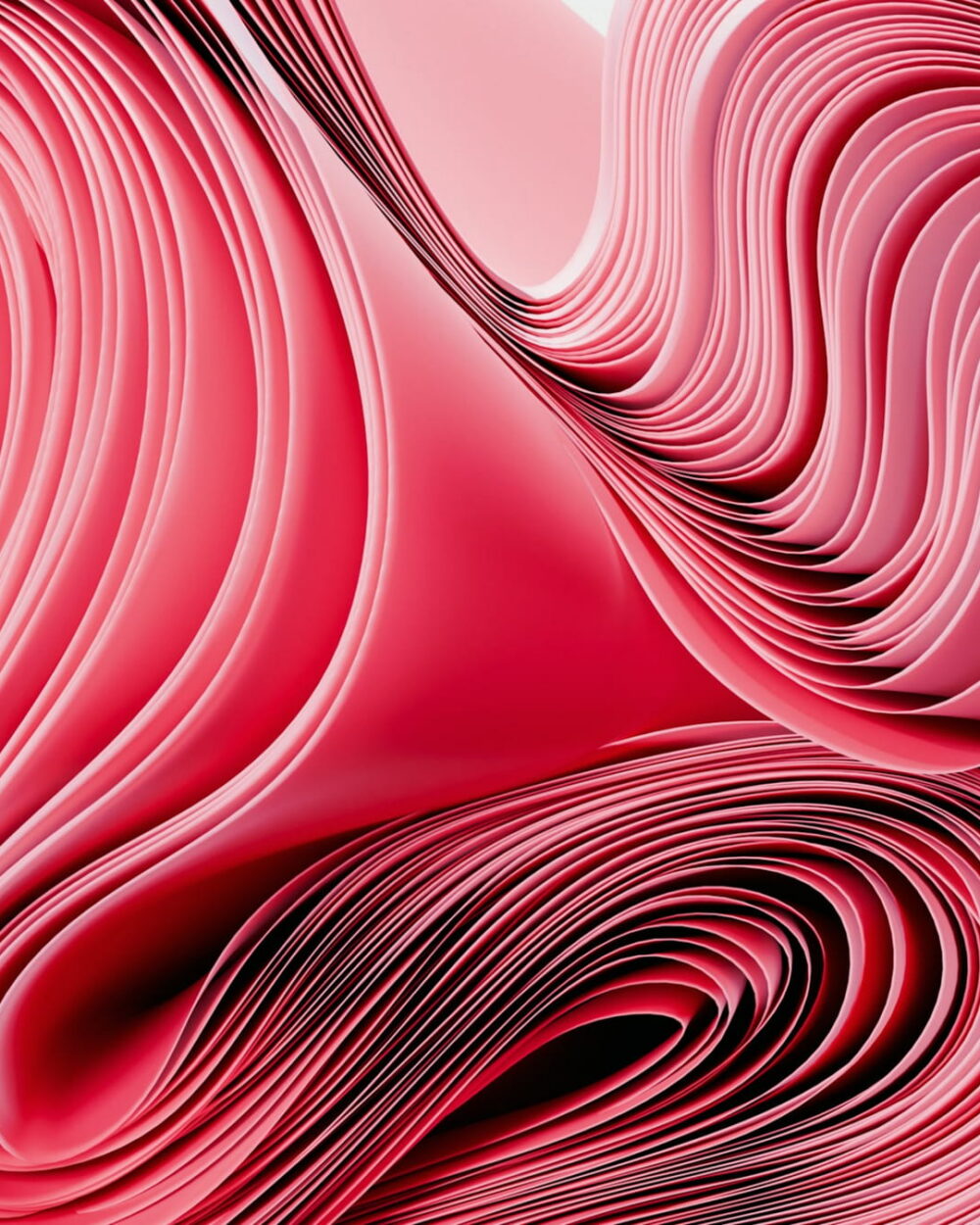 Pink and red layers swirling into a deep curl.