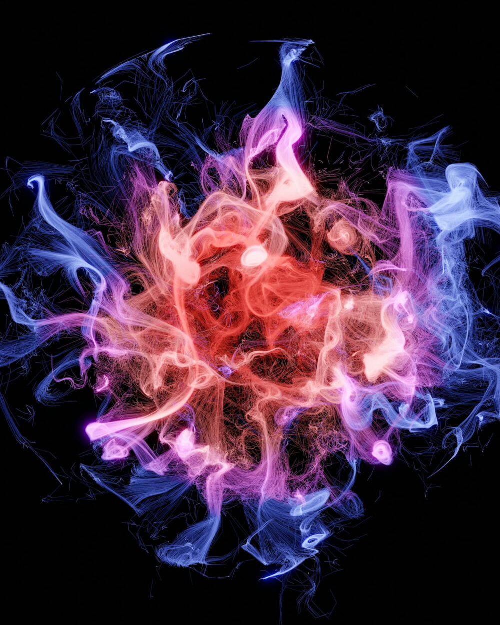 A bloom of pink and violet smoke on black.