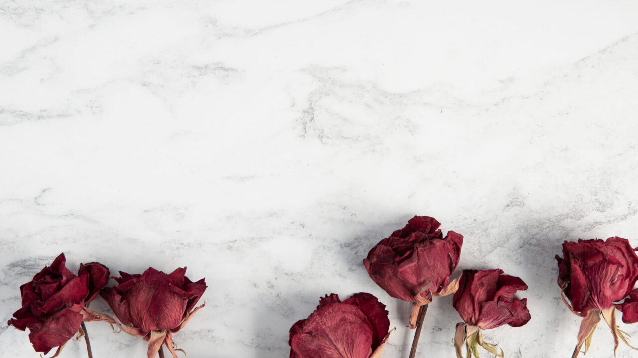 A row of dried red roses laid on white marble.