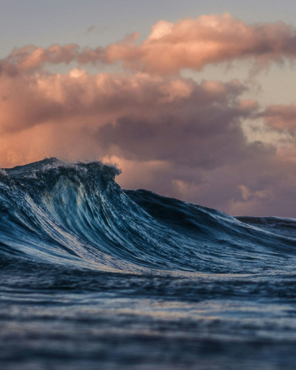 A dark blue wave rising under pink evening clouds.