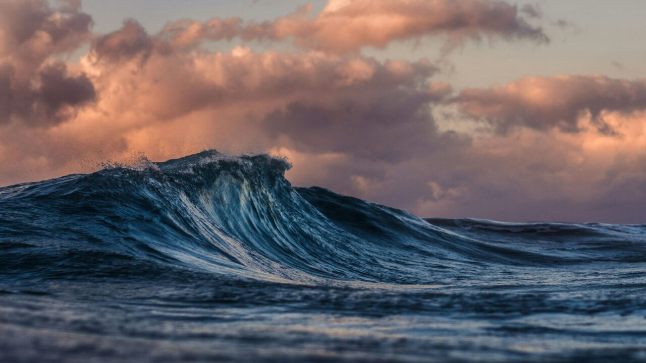 A dark blue wave rising under pink evening clouds.
