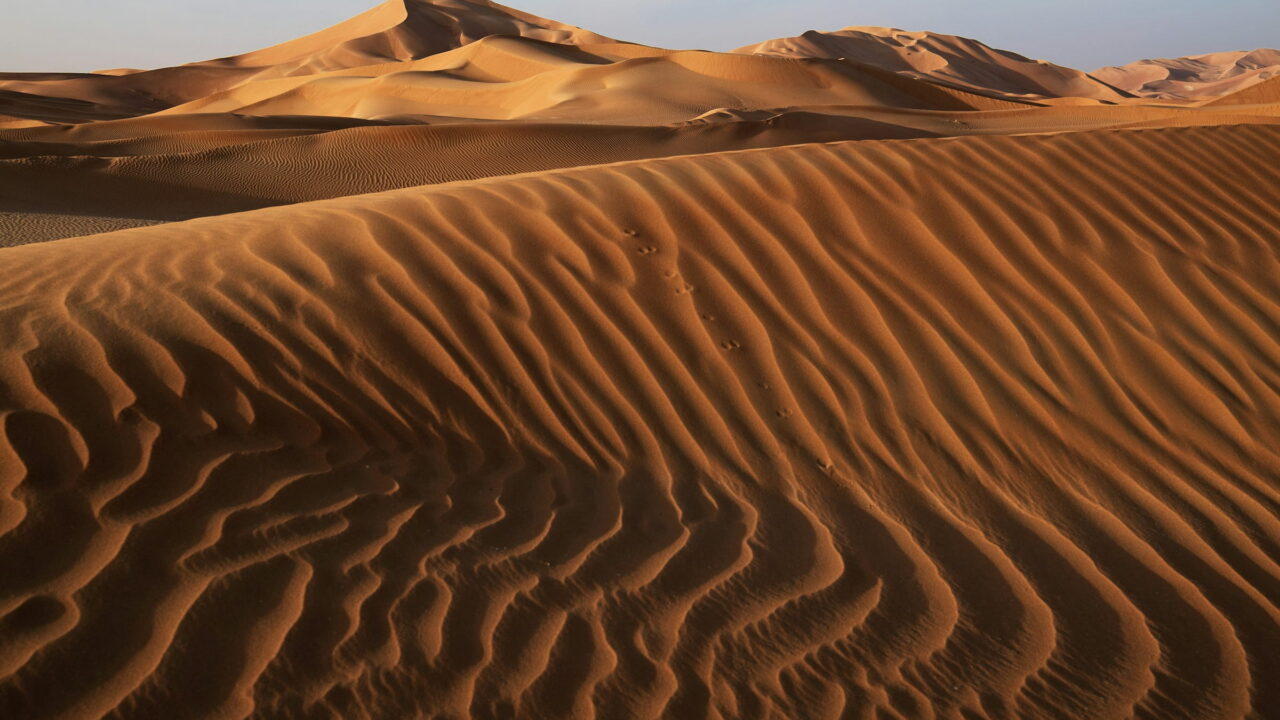Wind ripples across golden sand dunes in strong side light.