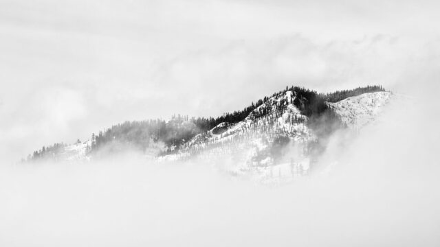 A snowy ridge floating like an island in white cloud.