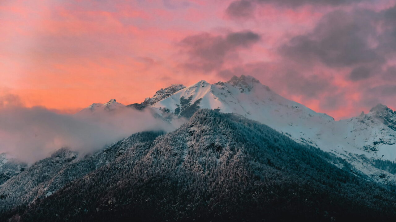 A snowy peak and its dark, forested slopes under a sky of pink clouds.