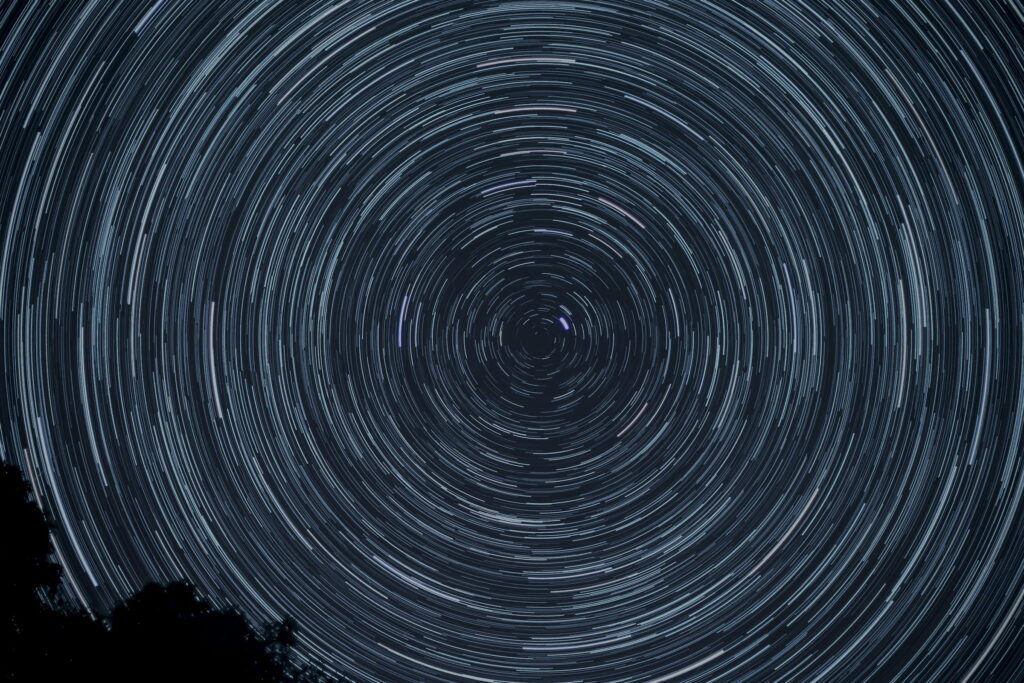 Circular star trails turning around the pole star above the tips of trees.