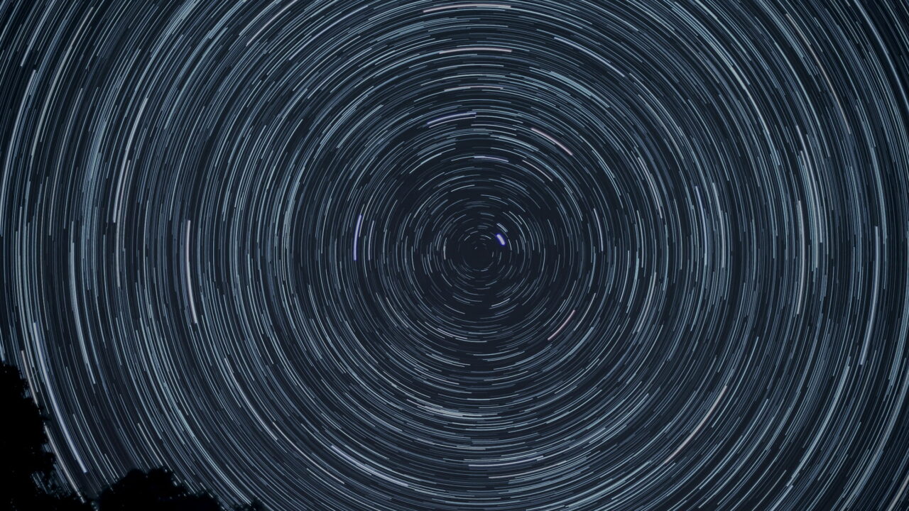 Circular star trails turning around the pole star above the tips of trees.
